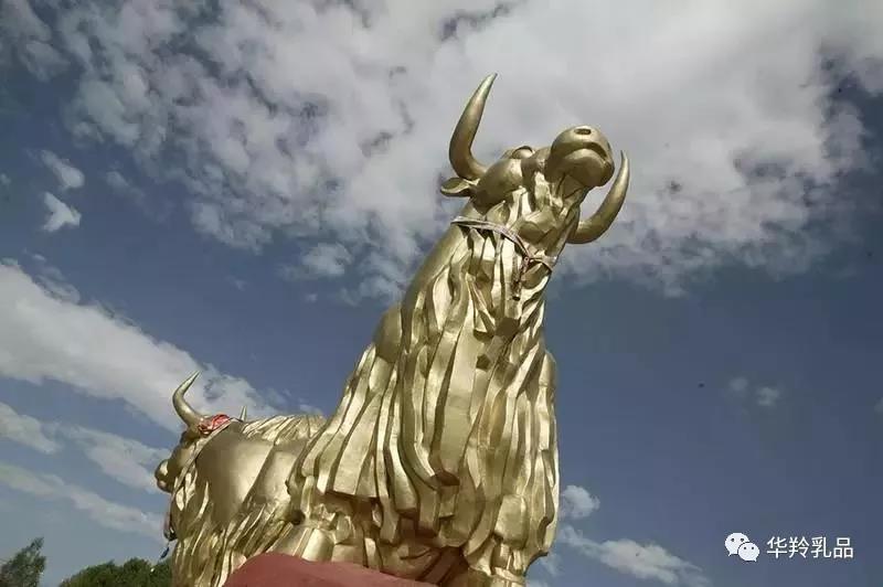 一样,也同样经历了图腾崇拜阶段,其中有关牦牛图腾的记载是最丰富的
